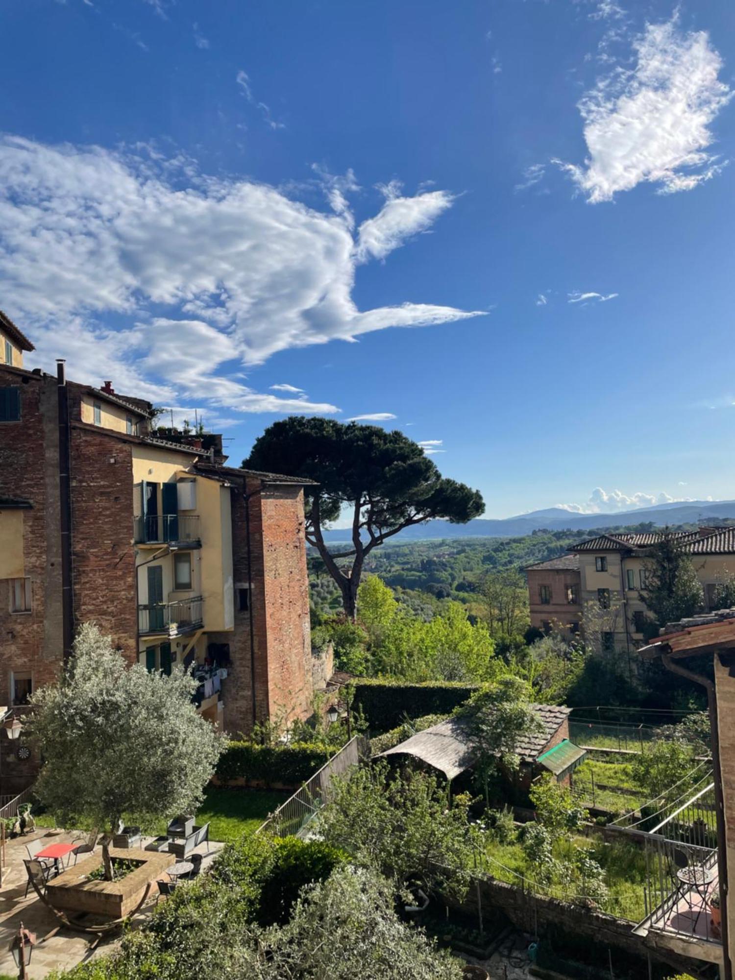 Appartement - Paolo Mascagni-centro Storico